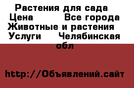 Растения для сада › Цена ­ 200 - Все города Животные и растения » Услуги   . Челябинская обл.